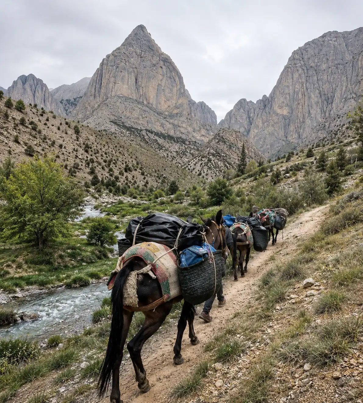 Top Travel Experiences in Taghia for First-Time Visitors