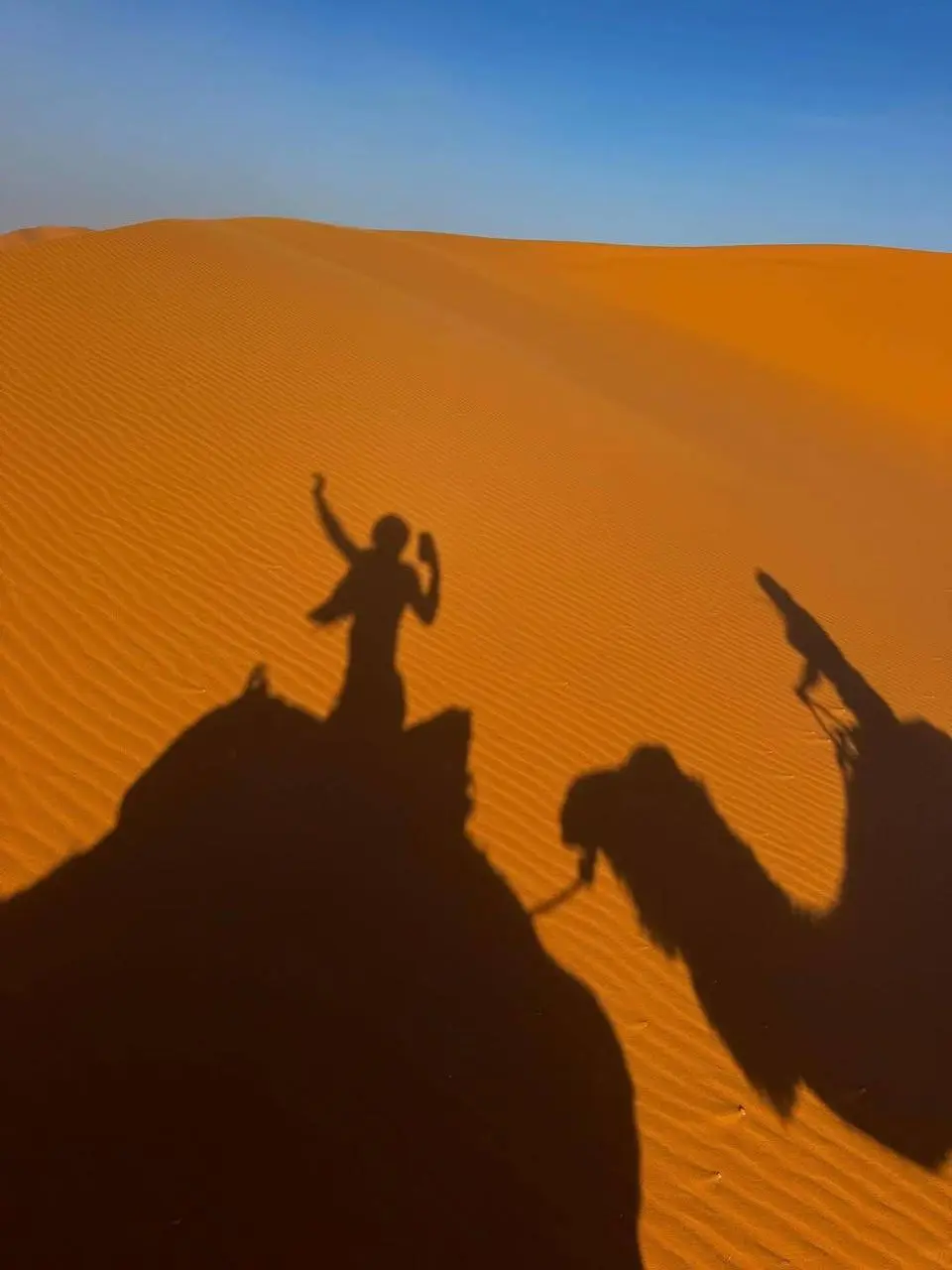 Errachidia Morocco Desert – Complete Guide to the Ziz Valley, Merzouga & Erg Chebbi